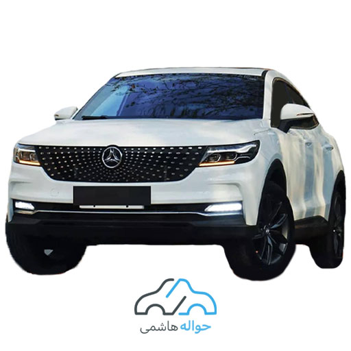 dignity حواله دیگنیتی